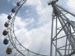 -上海野生动物园