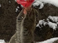 -九峰山