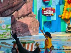 -海合安成都极地海洋公园