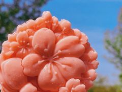 -上海辰山植物园