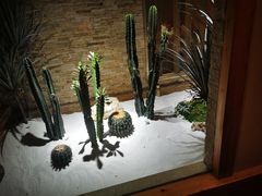 -阿斯牛牛·凉山菜(新会展店)