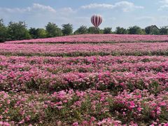 -歌斐颂巧克力小镇