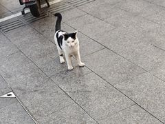 -重庆麻辣烫(国权路店)
