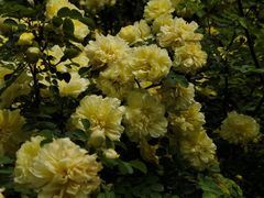 -长春公园(普阳街道)