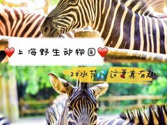 -上海野生动物园