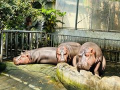 -宁波野生动物园