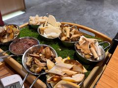 -一朵菌·野生菌探索家火锅(南亚店)
