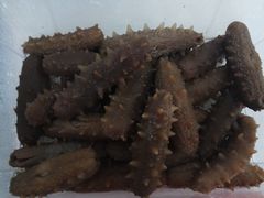 -宫品海参专卖店(黄浦老西门店)