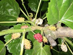 -苏州大学独墅湖校区-第6食堂