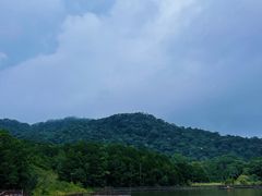 -海南热带雨林国家公园吊罗山景区