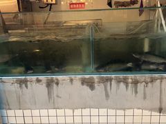 -赵大妖·活鱼现烤(天水店)
