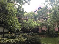 -香港大学