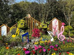 -上海共青森林公园