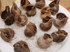 -锦粤宫·精致粤菜(阳西店)