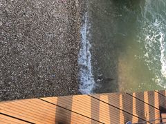 -东疆建设开发纪念公园