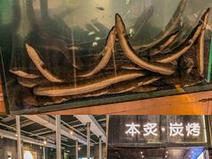 -本炙炭烤·蒲烧活鳗料理店(金沙洲店)