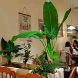 今日终于可以尝试到封神的番茄奶油意面🍅