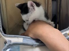 -达爱动物医院·犬猫分区·CT·复杂眼科(远洋山水分院)