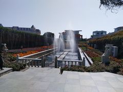 -百万葵园