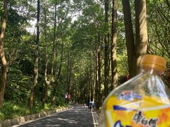 -广州市白云山风景名胜区