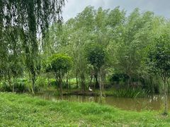 -同銮特种养殖场·龙虾垂钓