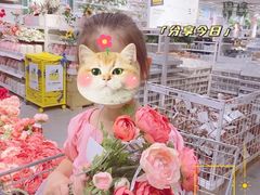 -宜家·瑞典风味餐厅(三桥店)