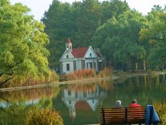 -上海共青森林公园