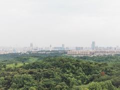 -南京老山国家森林公园