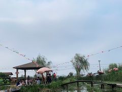 -同銮特种养殖场·龙虾垂钓