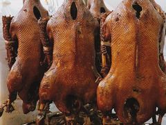 -春梅里卤鹅馆·47年老字号(中山路店)