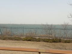 -江滩湿地公园
