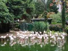 -九龙公园