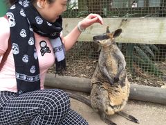 -费瑟代尔野生动物园