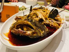 石斑鱼-开海·红岛海鲜虾水饺(石老人店)