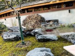 -久宴·天目湖大鱼头(恐龙园店)