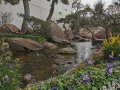 -罗红摄影艺术馆