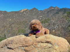 -天津盘山风景名胜区