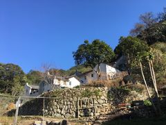 -雁南飞茶田景区
