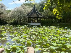 -上海醉白池公园