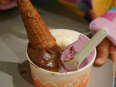 -Dip in Gelato(富民路店)
