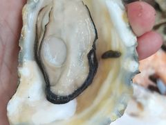 -海帮主·蒸汽海鲜青岛菜(栈桥火车站店)