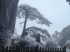 -黄山风景区