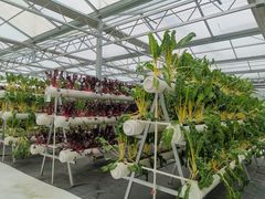 -兴芮温泉度假区