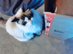 -零纪元VR体验馆·桌游(黄浦店)