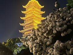 -常熟方塔园