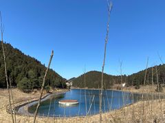 -武陵山森林公园