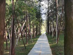 -佛冈森波拉度假区