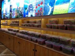 -阿斯牛牛·凉山菜(新会展店)