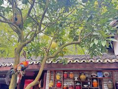 -青城甲(青城山店)