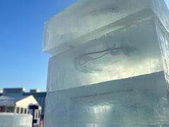 -沈阳奥体冰雪嘉年华